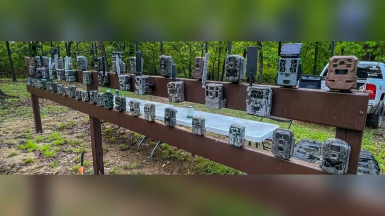 Which Cellular Trail Camera Is Best